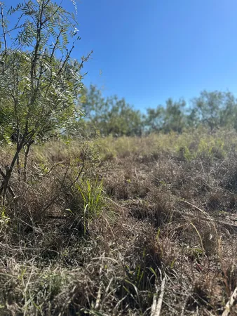 $50,000 | 102 Lot, Snyder, TX 79549
