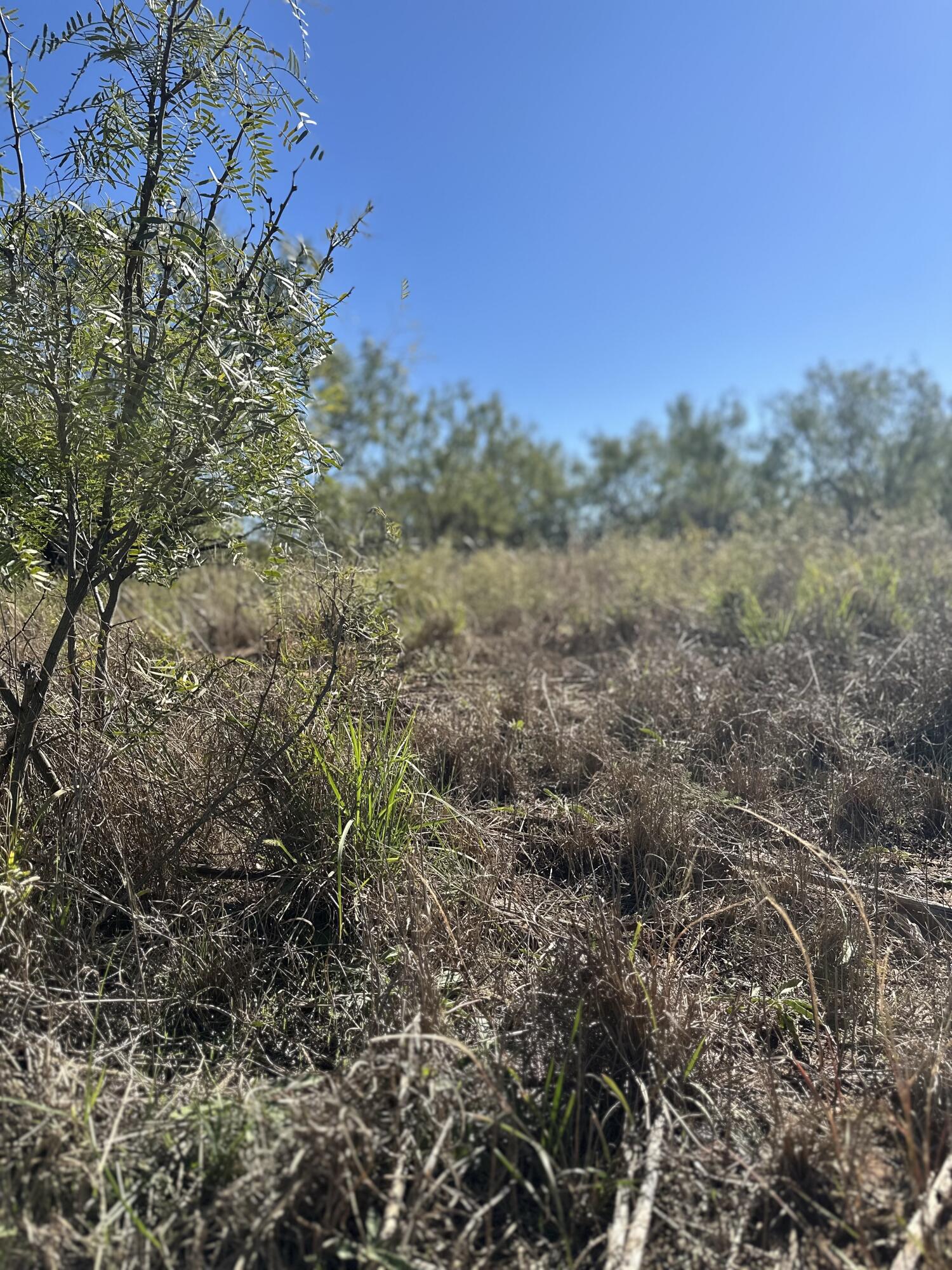 102 Lot Snyder, TX 79549 - Photo 13 of 15 IMG_3815