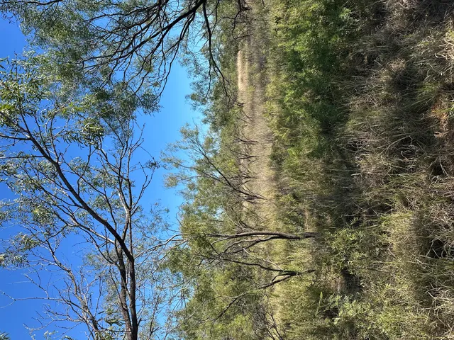 $50,000 | 102 Lot, Snyder, TX 79549