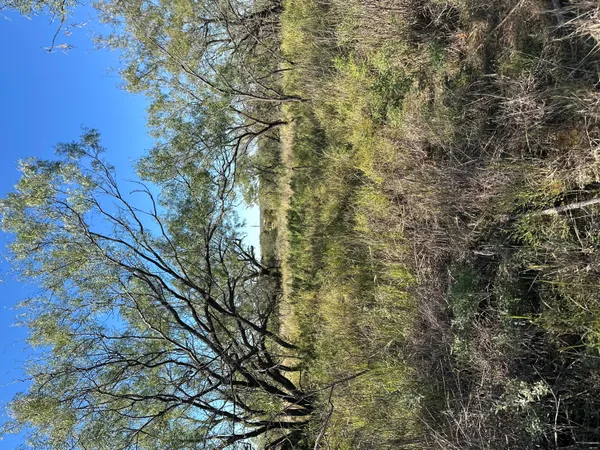 $50,000 | 102 Lot, Snyder, TX 79549