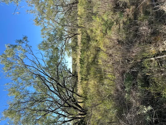 $50,000 | 102 Lot, Snyder, TX 79549