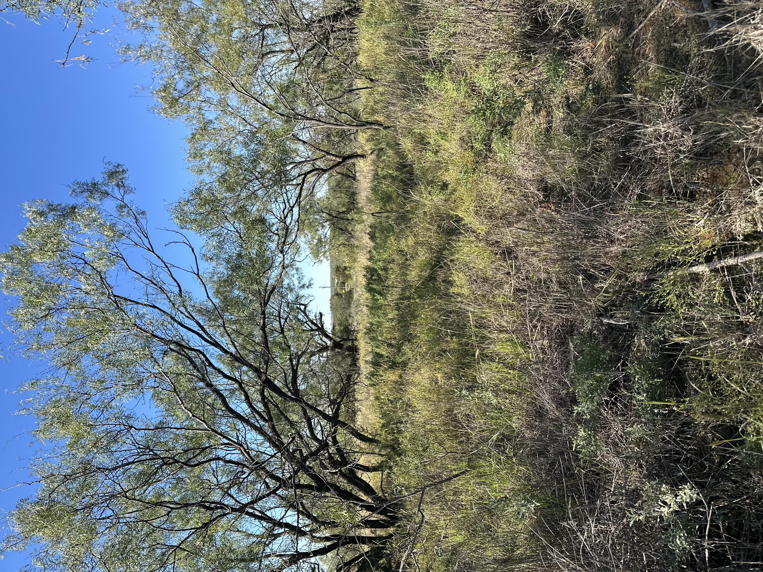 102 Lot Snyder, TX 79549 - Photo 15 of 15 IMG_3818