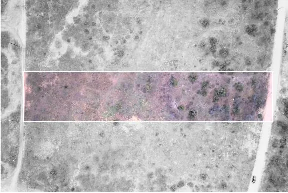 a view of a street sign under a large tree