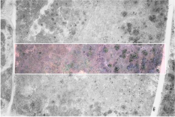 102 Lot Snyder, TX 79549 - Photo 2 of 15 fagan overhead colorize