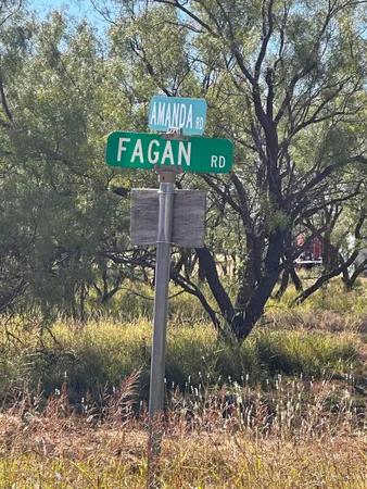 a view of under tree