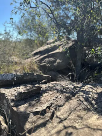 a view of water covered with snow