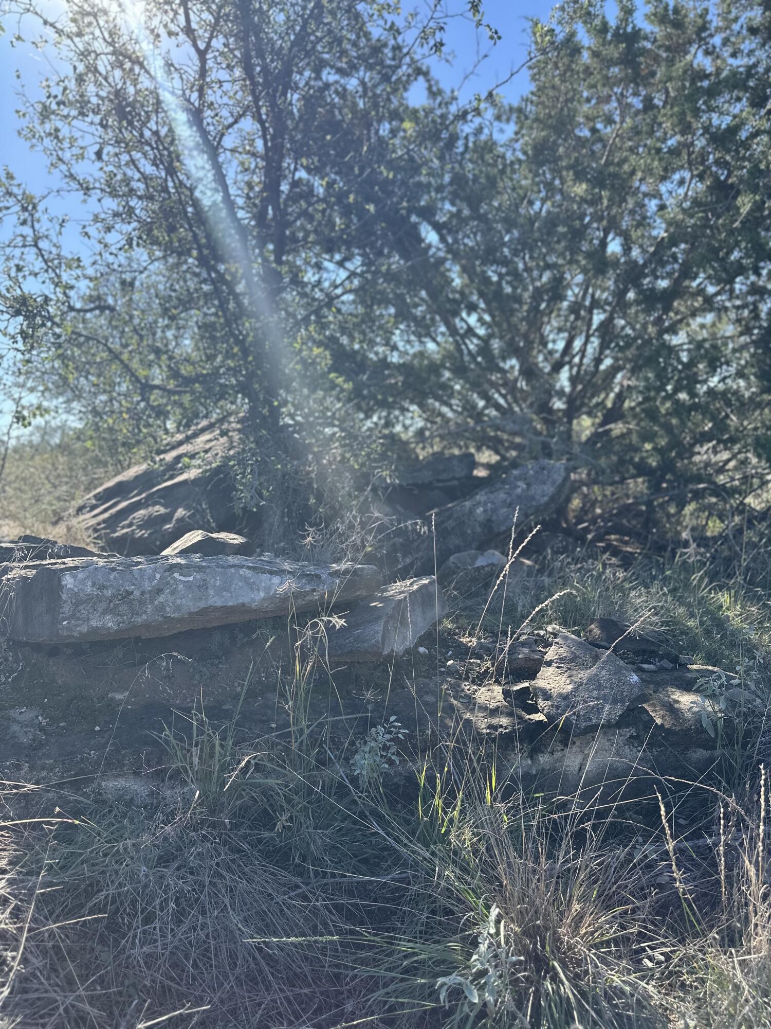 102 Lot Snyder, TX 79549 - Photo 7 of 15 IMG_3805