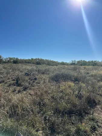 a view of a large yard with lots of bushes