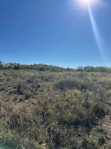 a view of a large yard with lots of bushes