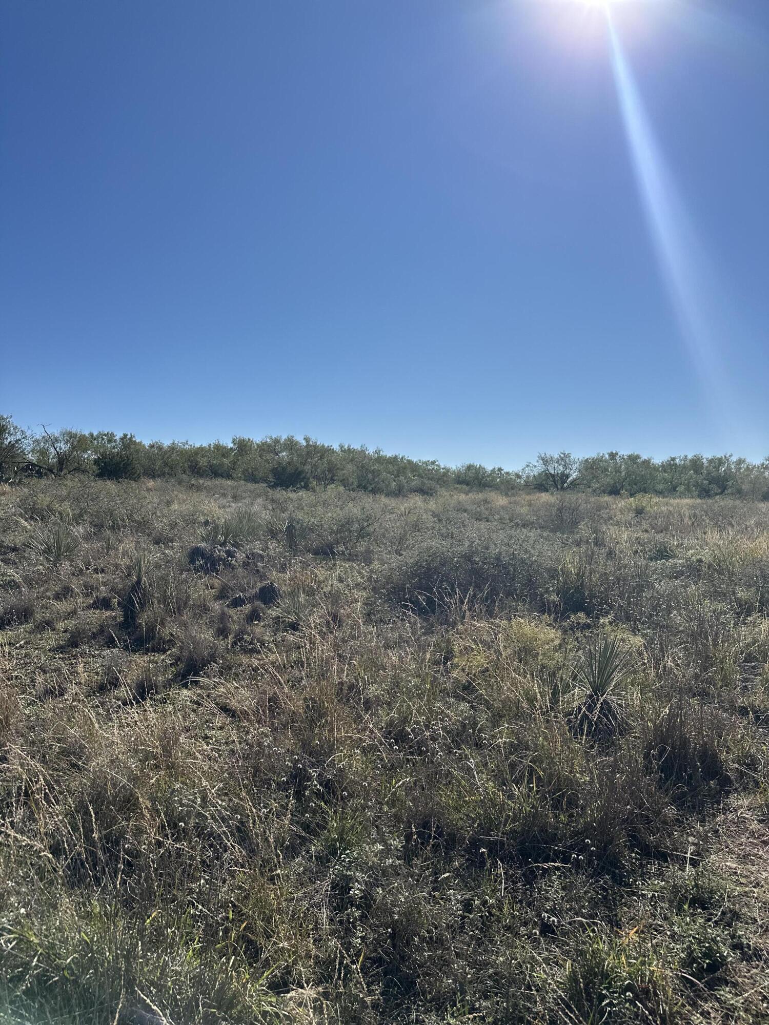 102 Lot Snyder, TX 79549 - Photo 8 of 15 IMG_3810