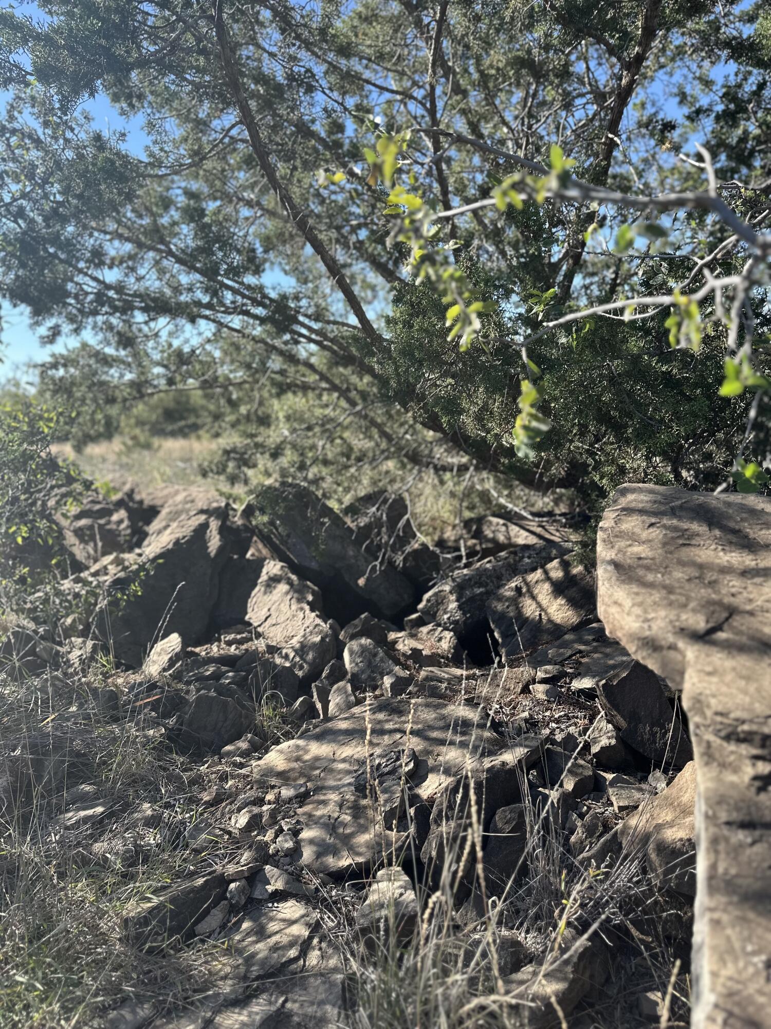 102 Lot Snyder, TX 79549 - Photo 9 of 15 IMG_3809