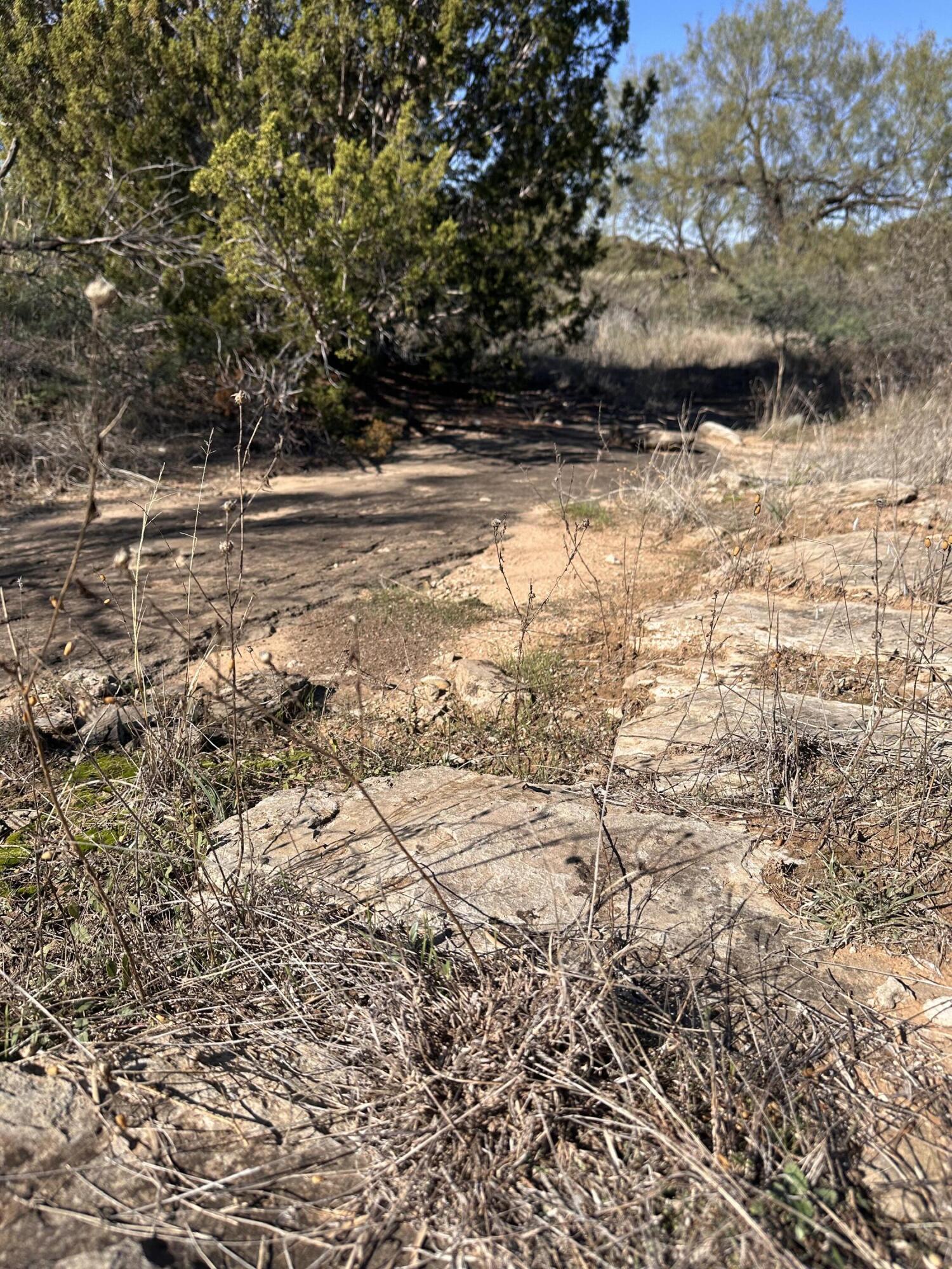 102 Lot Snyder, TX 79549 - Photo 10 of 15 IMG_3803