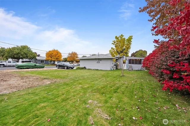 a view of a backyard with plants and large trees