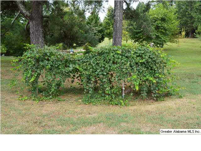 550 Cobb Road Oxford, AL 36203 - Photo 7 of 31