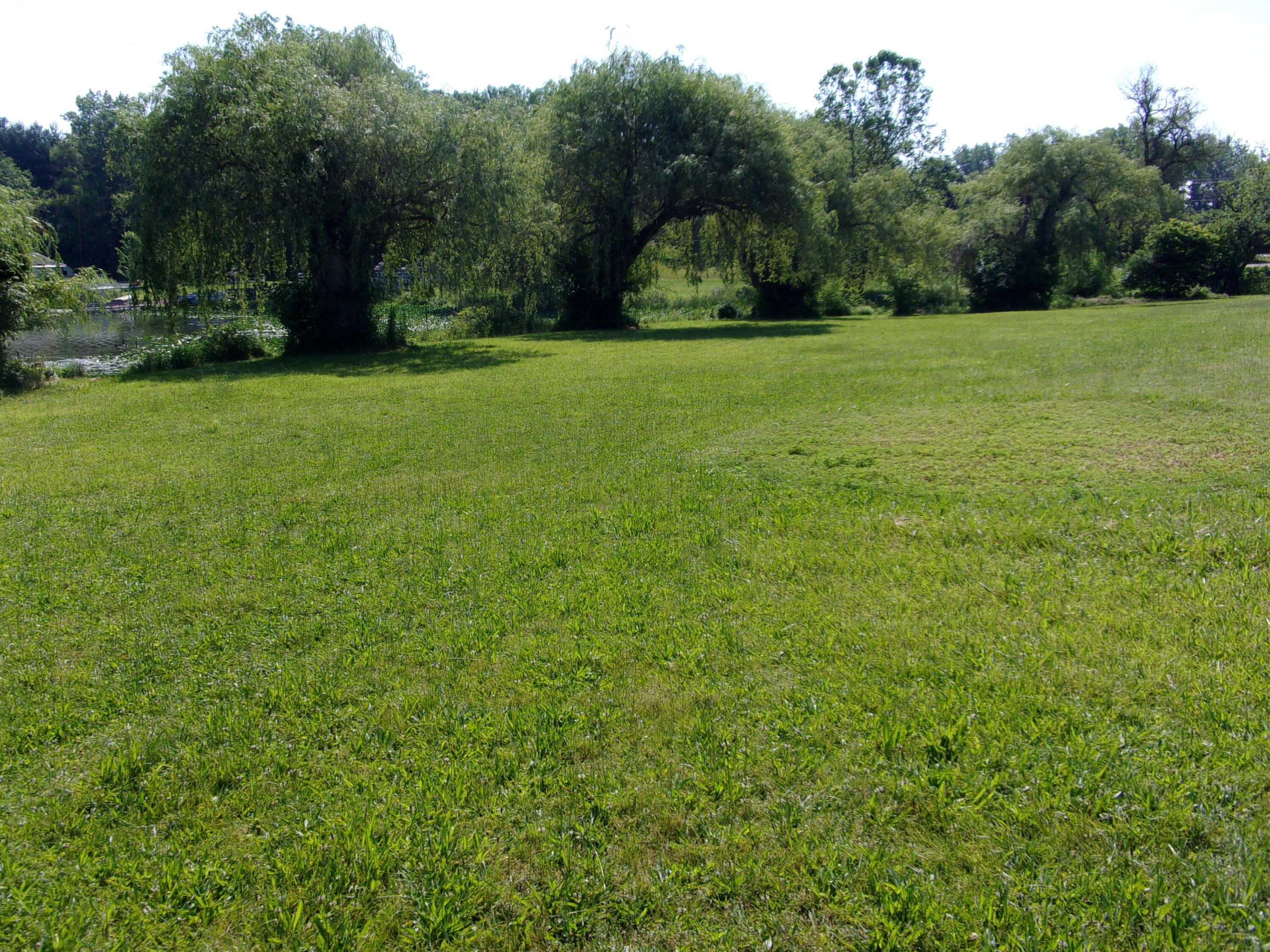 29532 Fawn River Road Sturgis, MI 49091 - Photo 13 of 54 113_4795