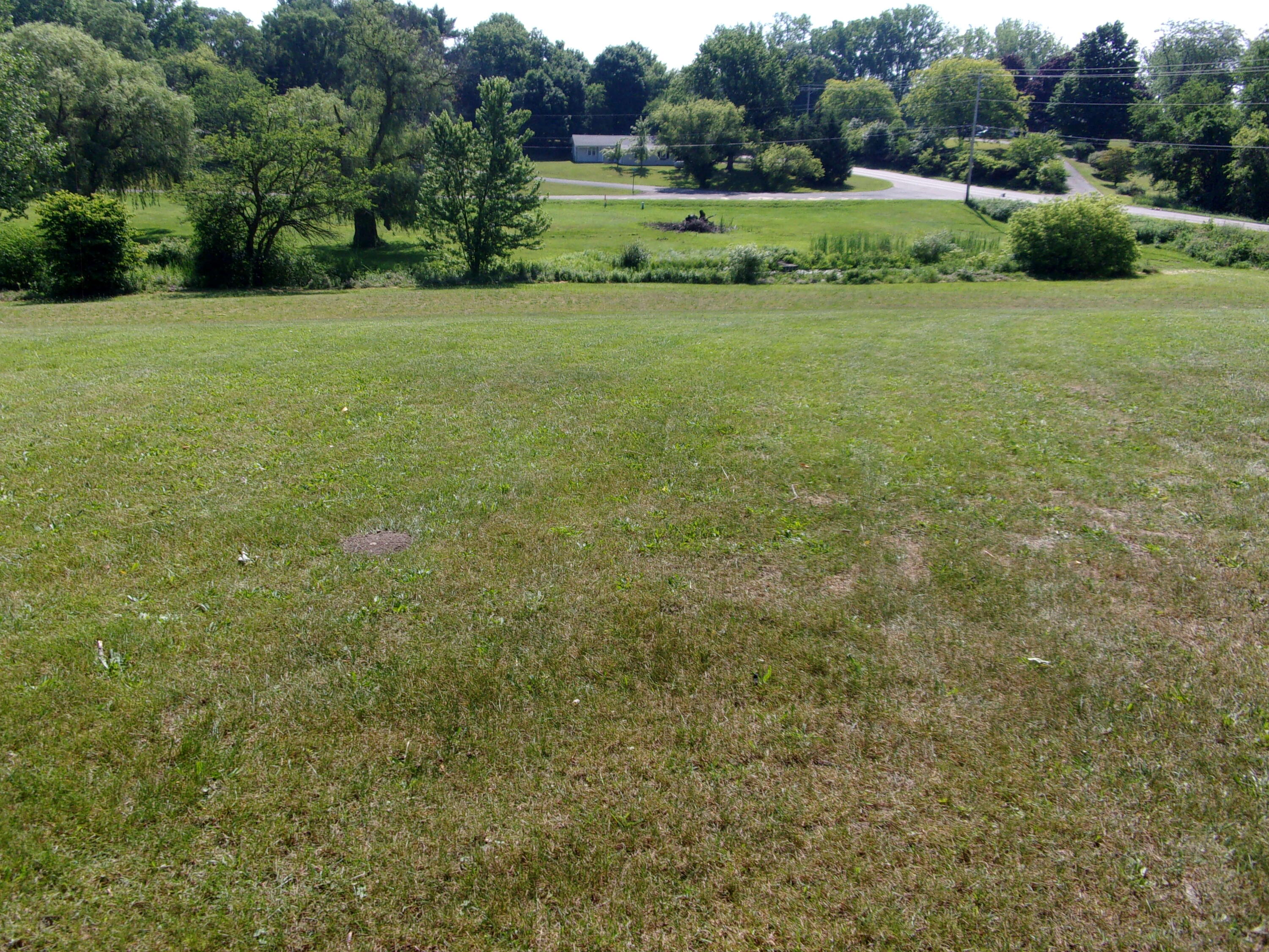 29532 Fawn River Road Sturgis, MI 49091 - Photo 10 of 54 113_4787