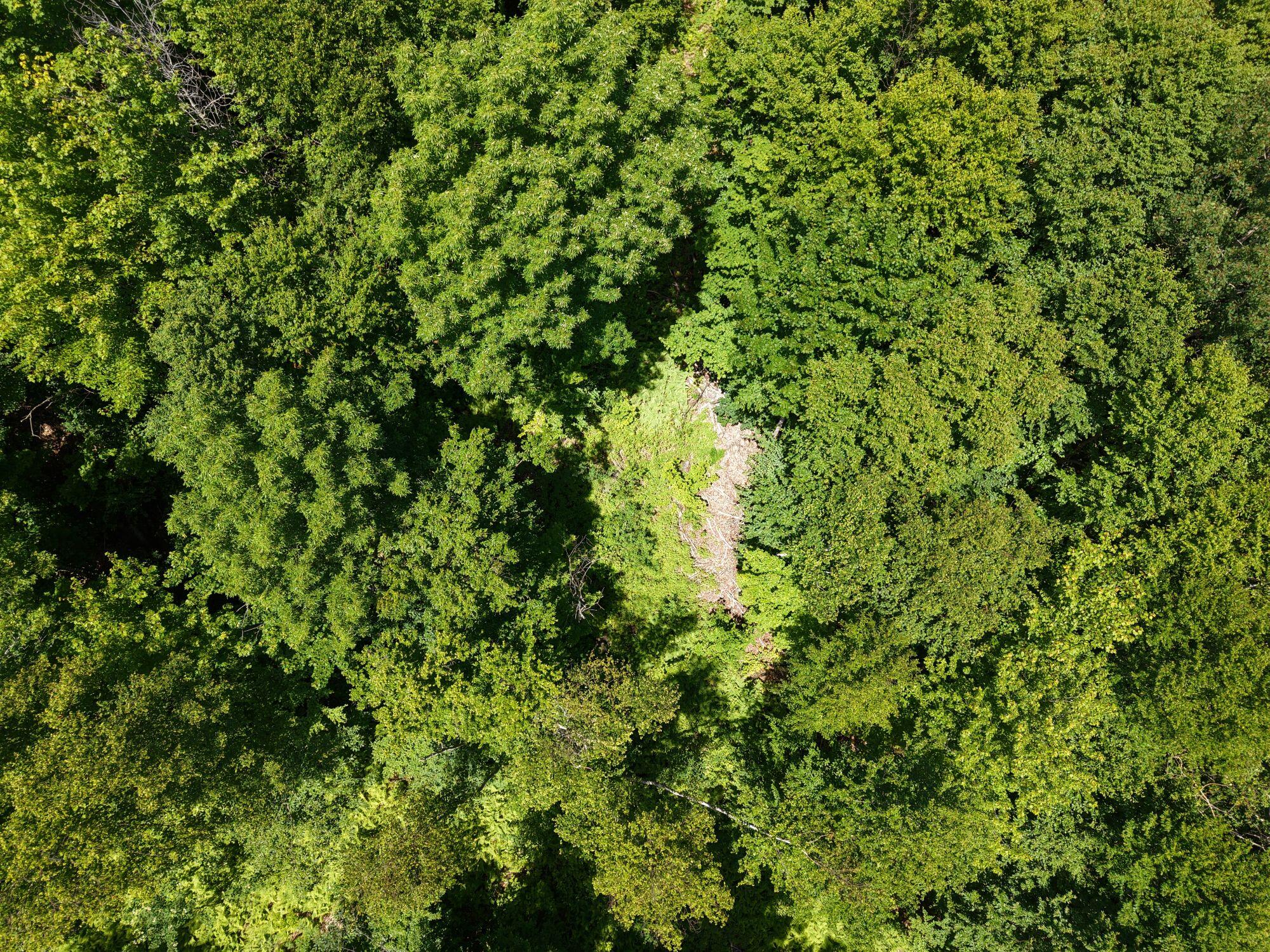 Mso3-l16 Flow Road New Portland, ME 04961 - Photo 21 of 30 DJI_20260712131433_0015_D
