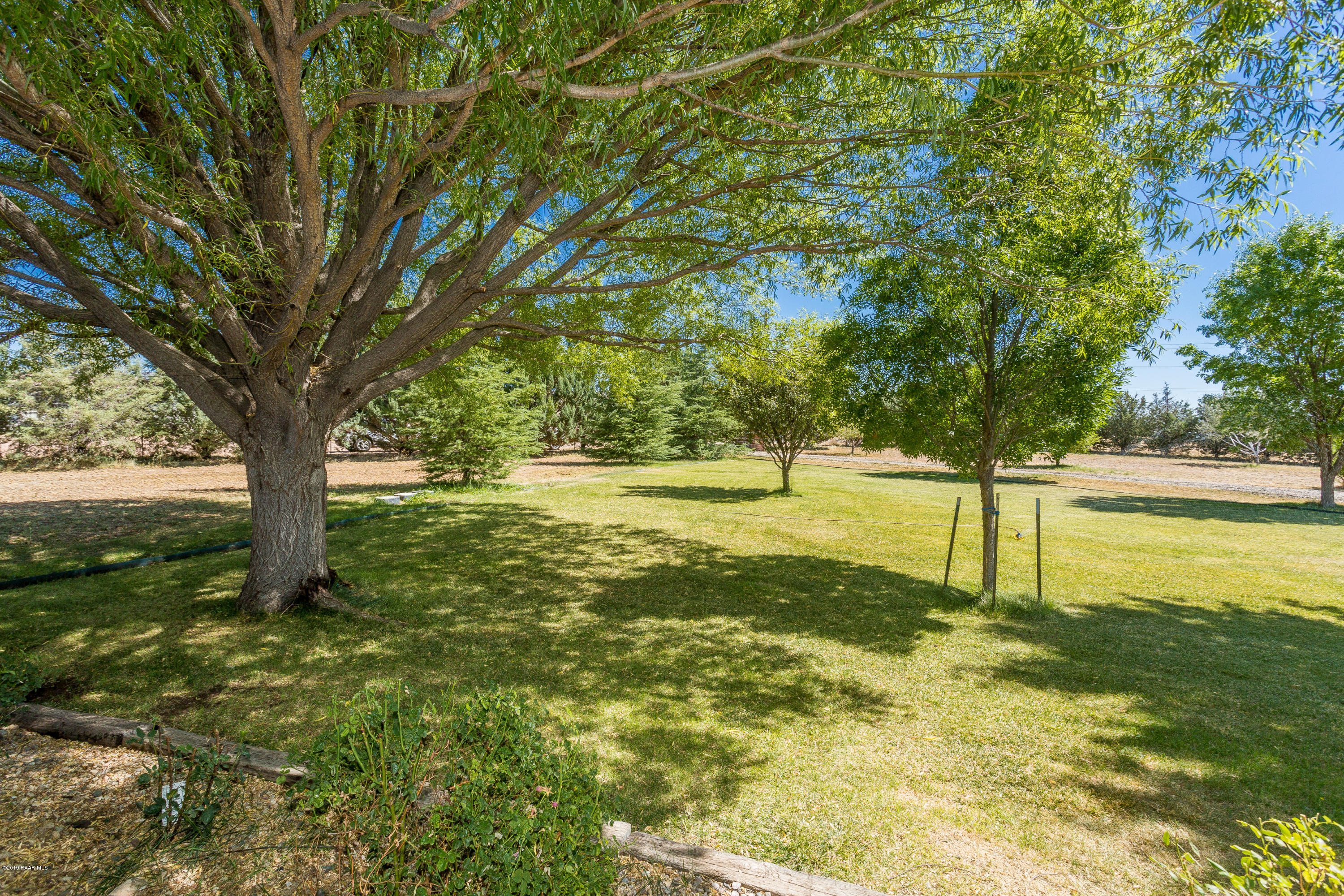 1107 Saddle Road Paulden, AZ 86334 - Photo 5 of 25 a view of yard with tree
