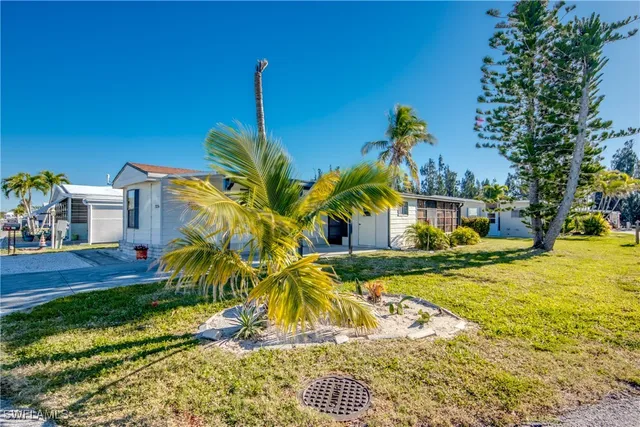a view of a yard with plants