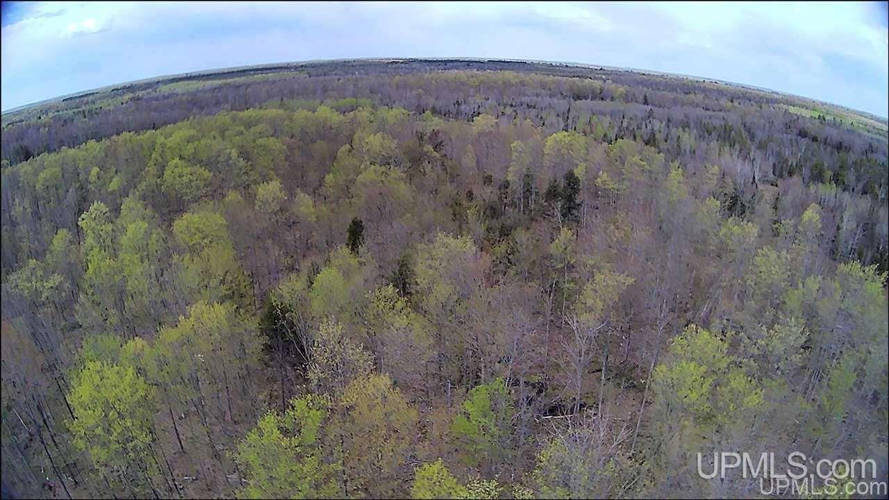 Tbd Tbd Truax Road, Unit 1 Cornell, MI 49818 - Photo 15 of 43
