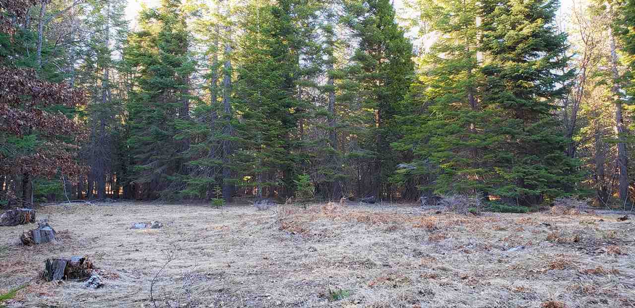 40-acres Off Deetz Road Mount Shasta, CA 96067 - Photo 14 of 25 Gallery Image 14