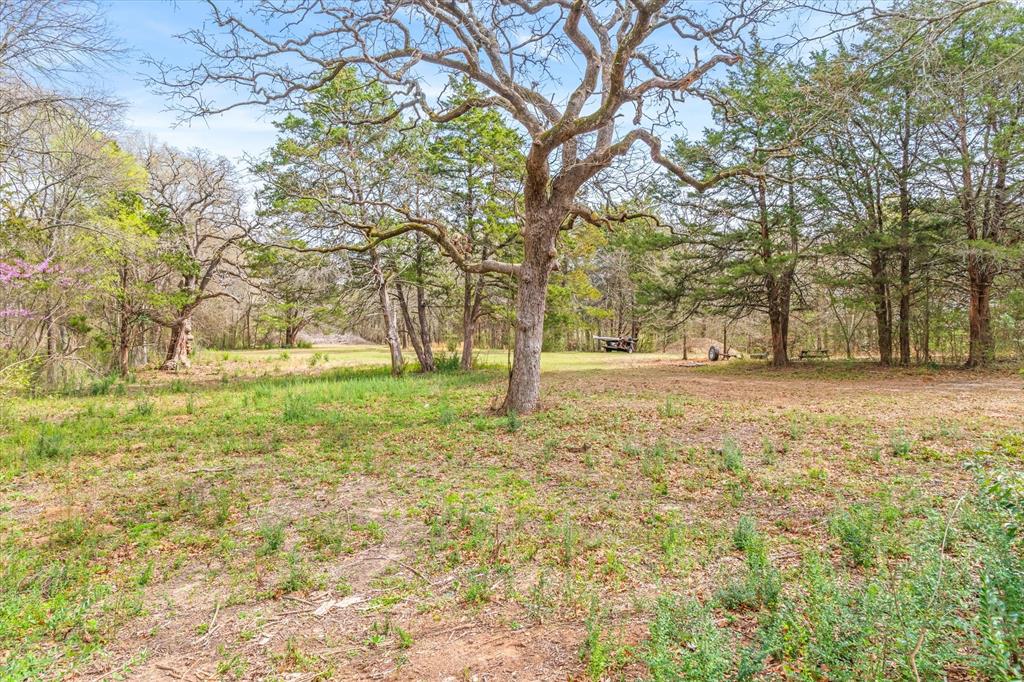 700 Amy Street Canton, TX 75103 - Photo 7 of 35 a view of yard with trees