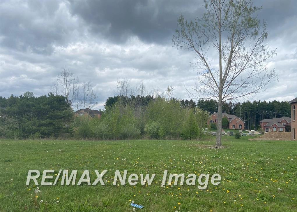 V/l Rivershyre Parkway Davison, MI 48423 - Photo 1 of 5