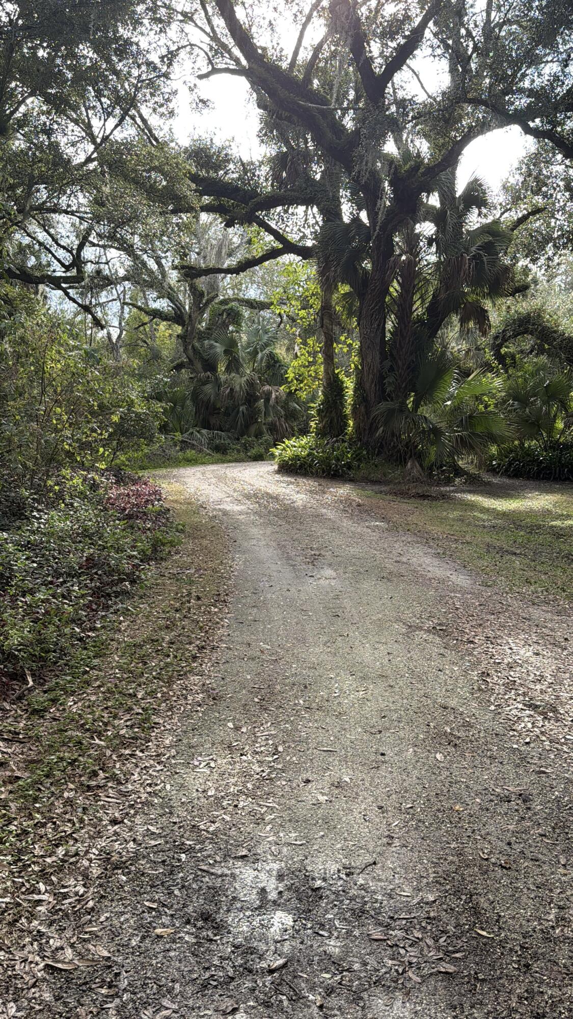 0 Undisclosed Okeechobee, FL 34972 - Photo 2 of 8 a view of a yard with a trees