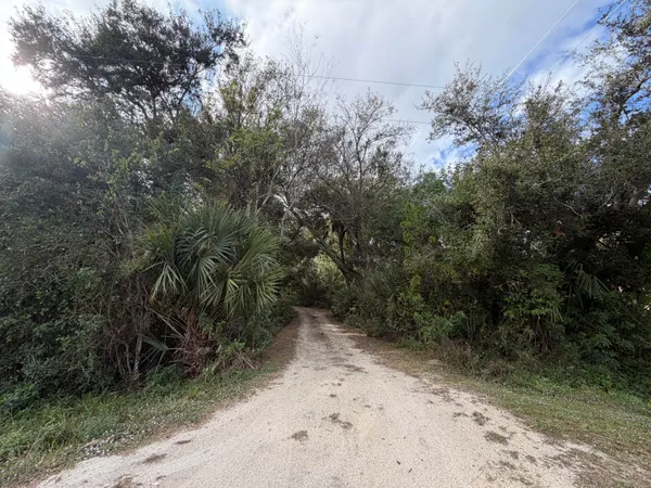 a view of a dirt road with trees