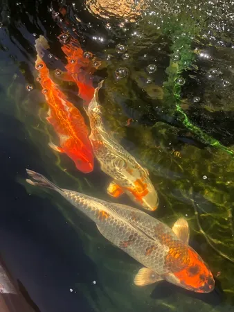 $3,000 | 8 Rock Cliff Road, Unit B, Marblehead, MA 01945