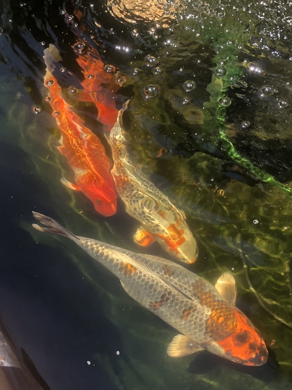 8 Rock Cliff Road, Unit B Marblehead, MA 01945 - Photo 22 of 22