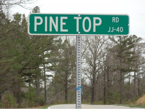 0 Pine Top Road Hollister, MO 65672 - Photo 1 of 1 Primary Photo