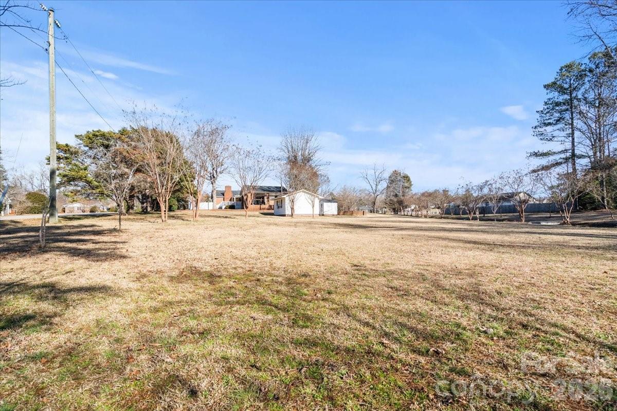 313 Pigg Street Pageland, SC 29728 - Photo 3 of 45