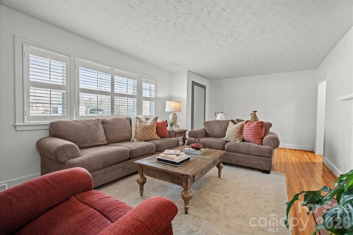 313 Pigg Street Pageland, SC 29728 - Photo 10 of 48 a living room with furniture a couch and a potted plant on table