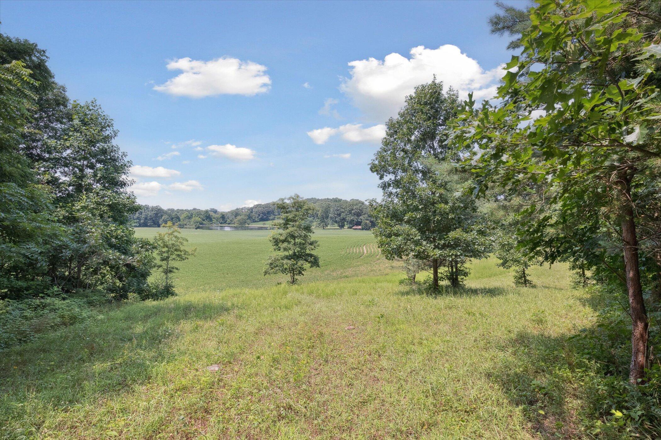 51202 O Keefe Road Dowagiac, MI 49047 - Photo 33 of 66 32-51202-O-Keefe-Rd-Dowagiac-MI-49047-Wi