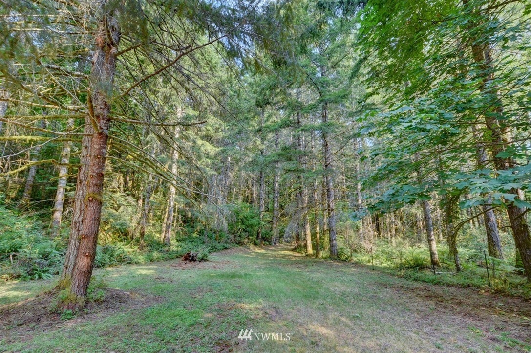 6544 Cedar Flats Road Southwest Olympia, WA 98512 - Photo 7 of 39 Gallery Image 7