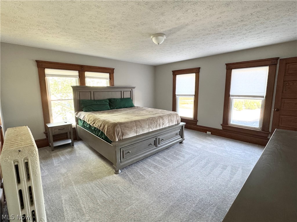 3487 North Ridge Road Perry, OH 44081 - Photo 23 of 38