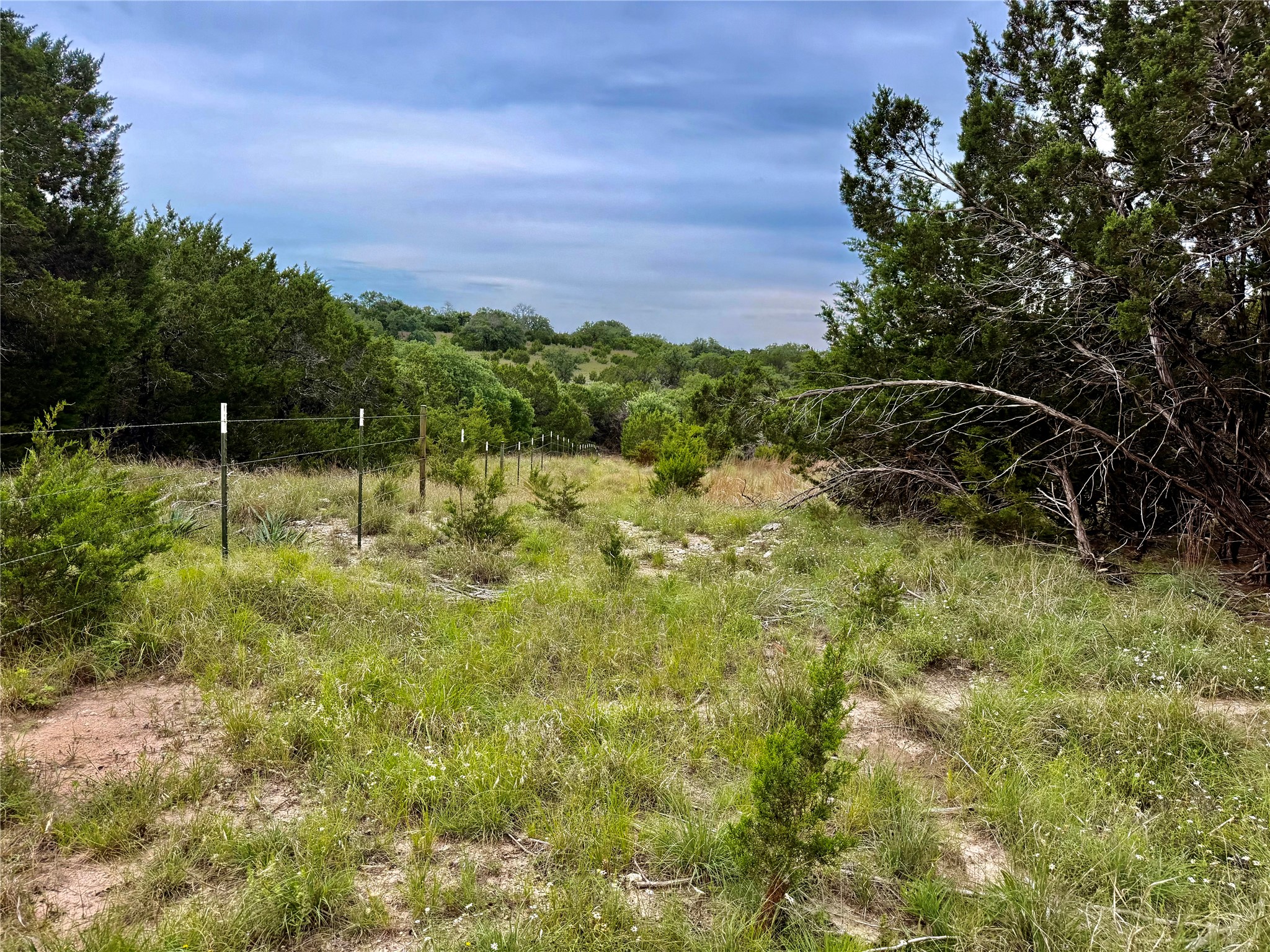 2017 County Road 222 Kempner, TX 76539 - Photo 14 of 16 Expansive undeveloped land featuring a wire fence, mature trees, and varied natural vegetation under an open sky