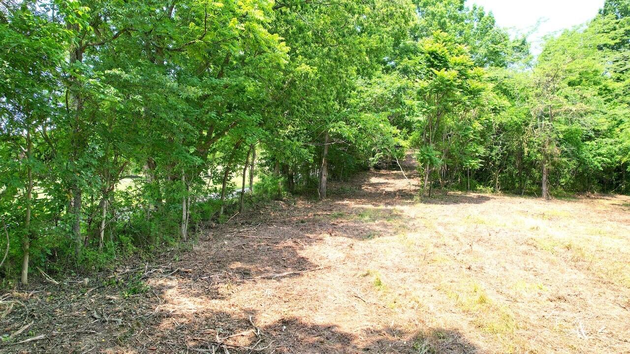 64.8 Turner Ridge Road Falmouth, KY 41040 - Photo 9 of 19 Gallery Image 9