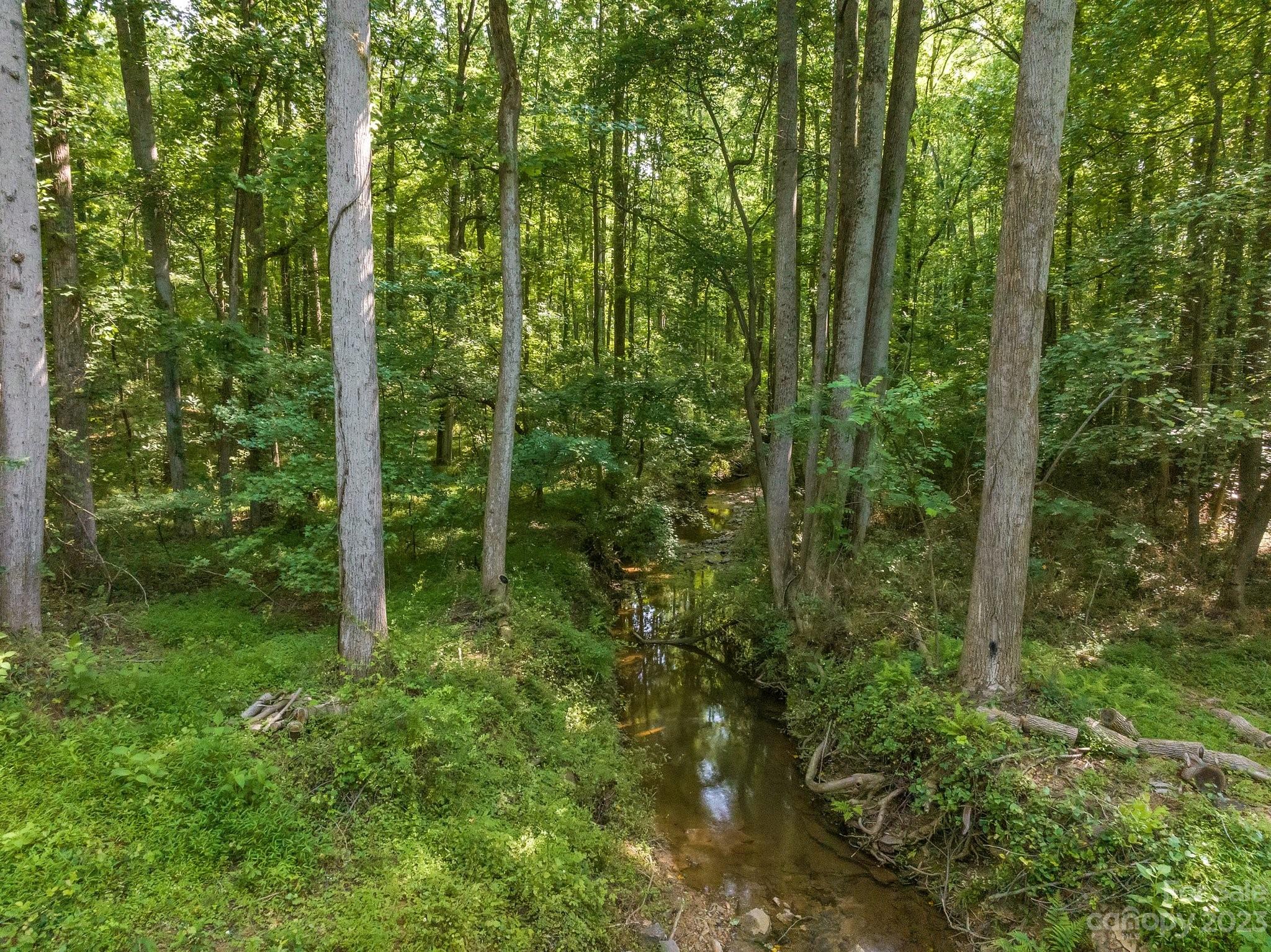 0 Grassy Pond Road Gaffney, SC 29341 - Photo 12 of 20 a view of a forest