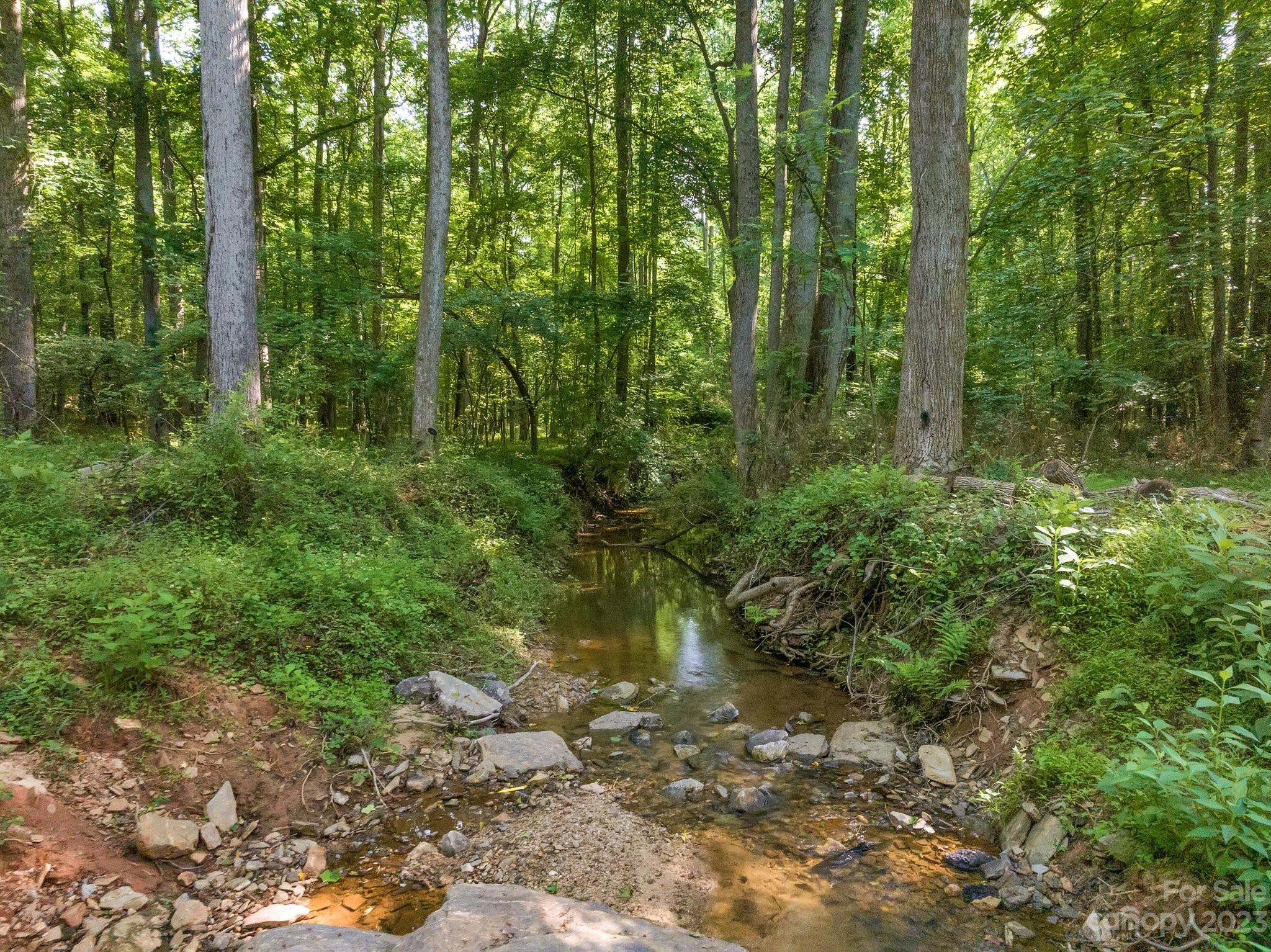 0 Grassy Pond Road Gaffney, SC 29341 - Photo 13 of 20 a backyard of a house with lots of green space