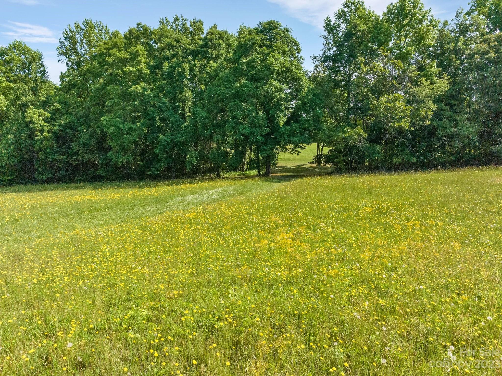 0 Grassy Pond Road Gaffney, SC 29341 - Photo 15 of 20 a view of a large yard with a large tree