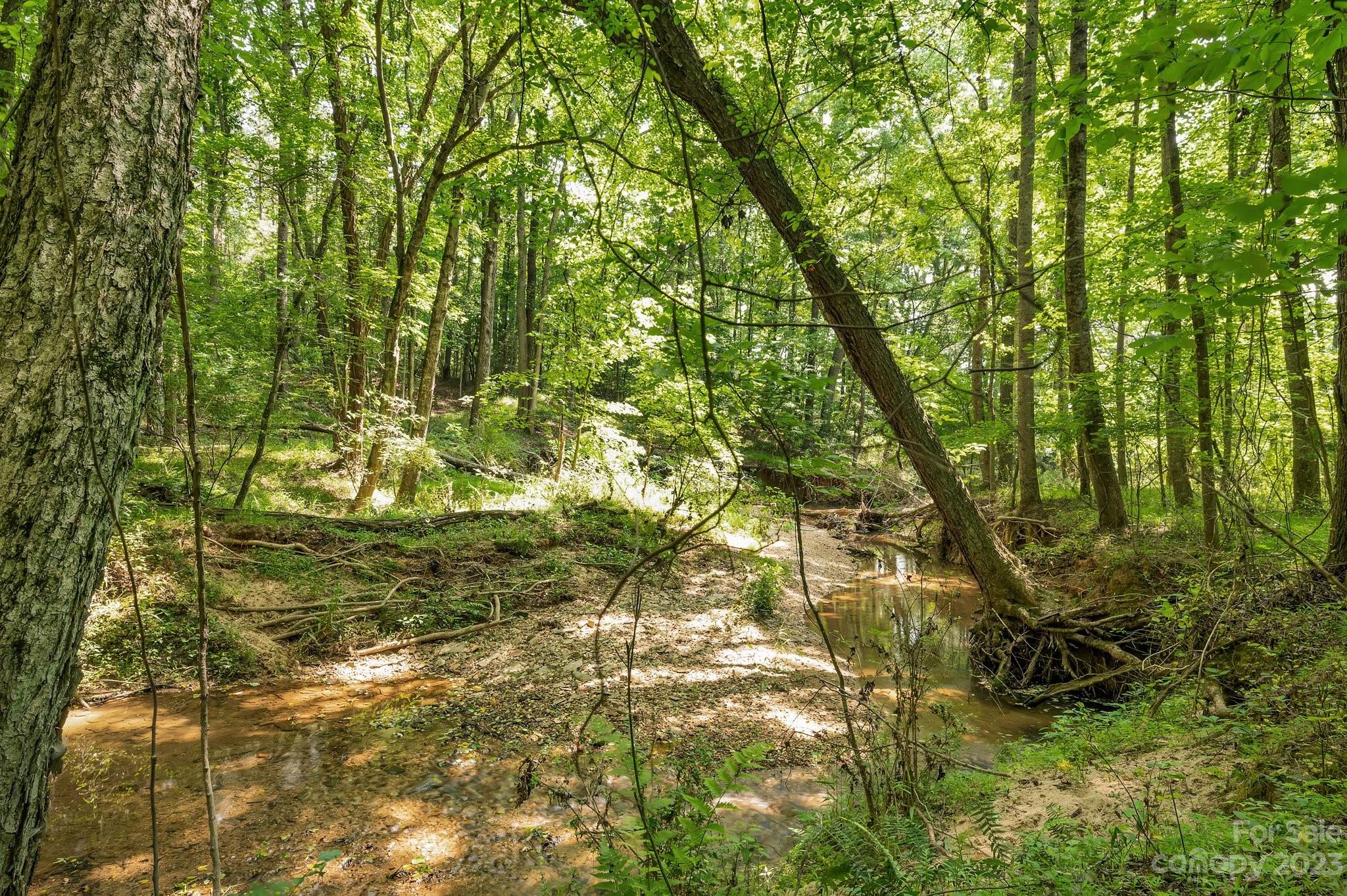 0 Grassy Pond Road Gaffney, SC 29341 - Photo 8 of 20 a backyard of a house with lots of trees