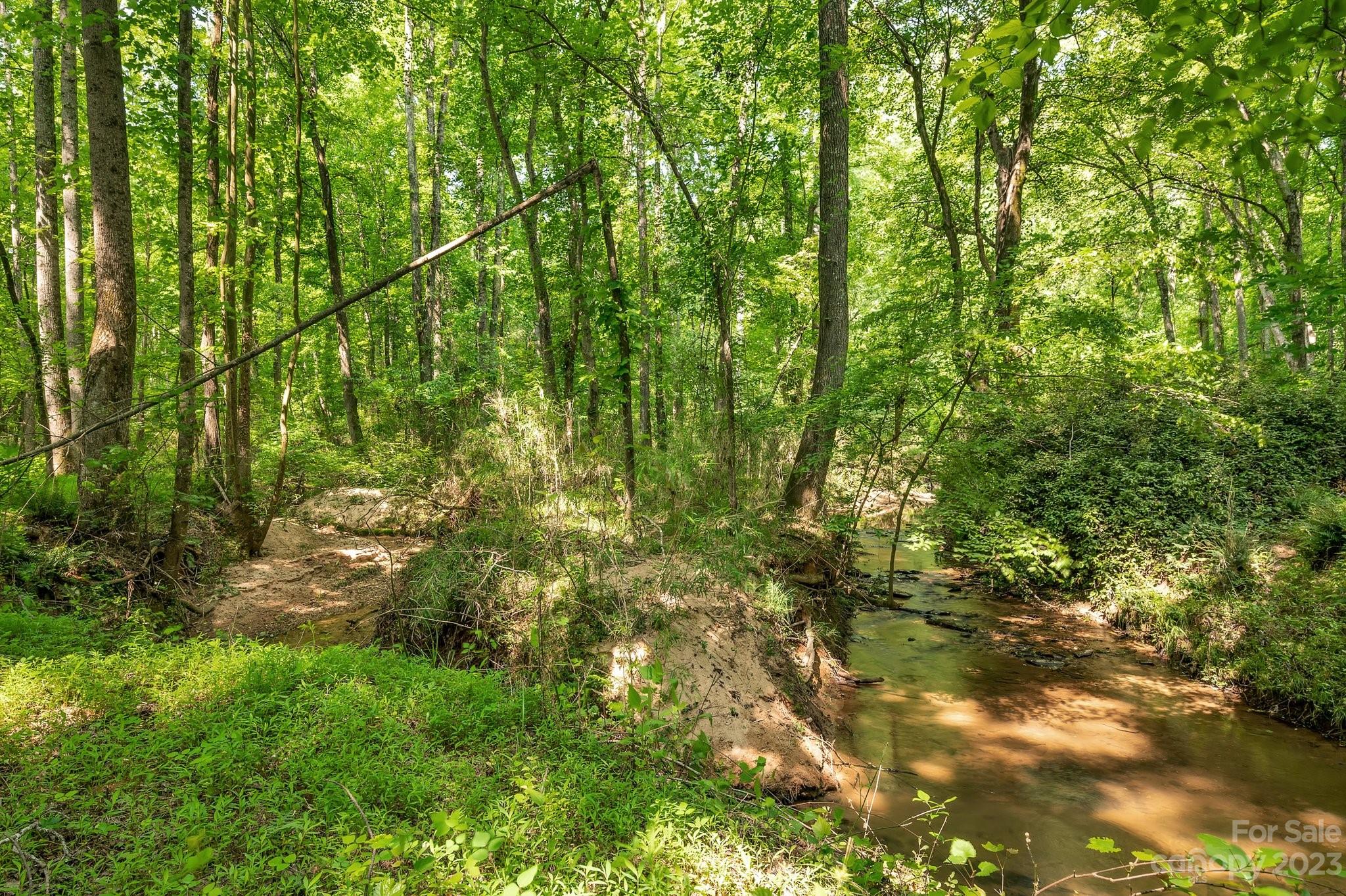 0 Grassy Pond Road Gaffney, SC 29341 - Photo 9 of 20 a view of a yard