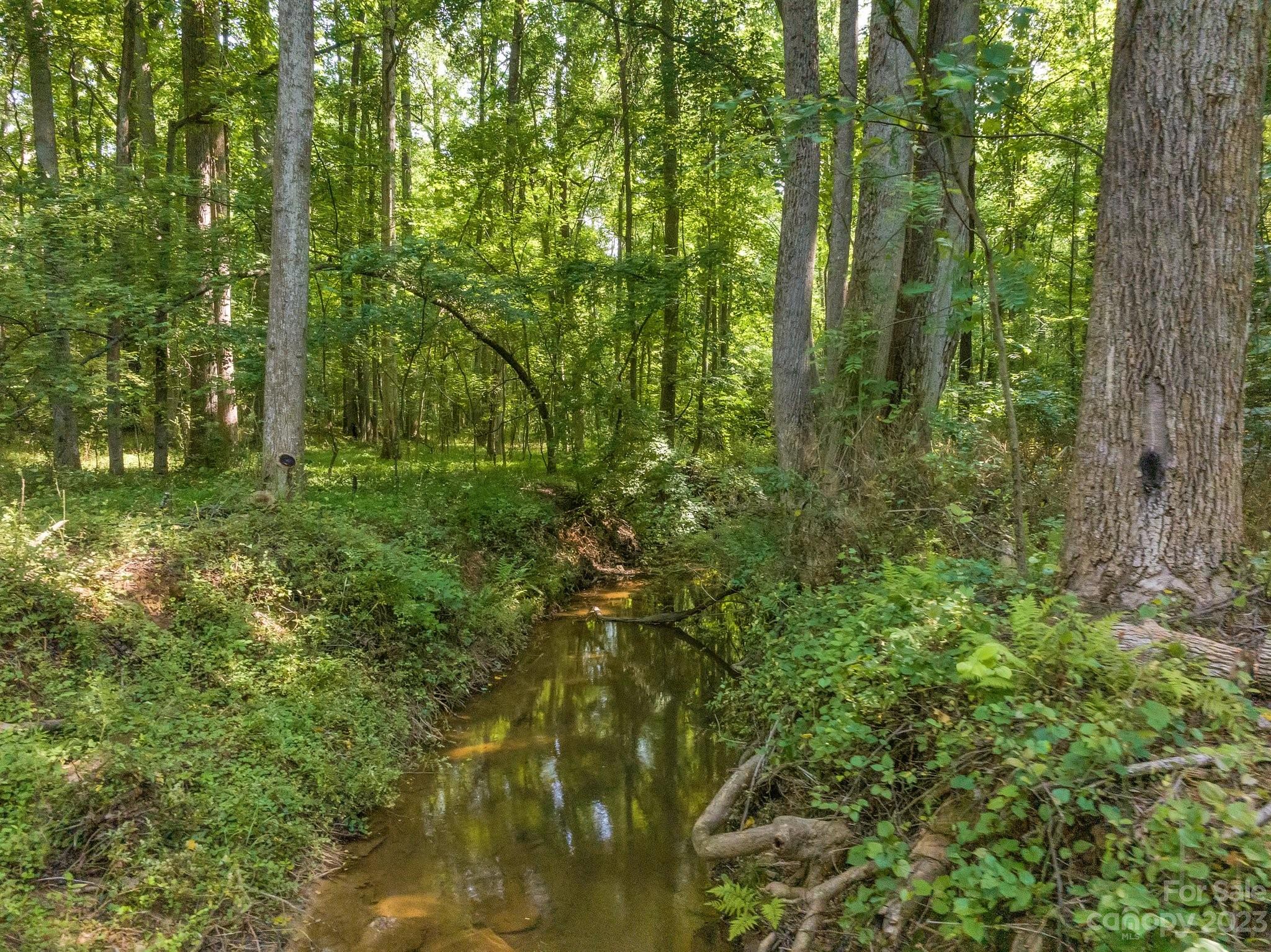 0 Grassy Pond Road Gaffney, SC 29341 - Photo 10 of 20 a view of a lush green forest