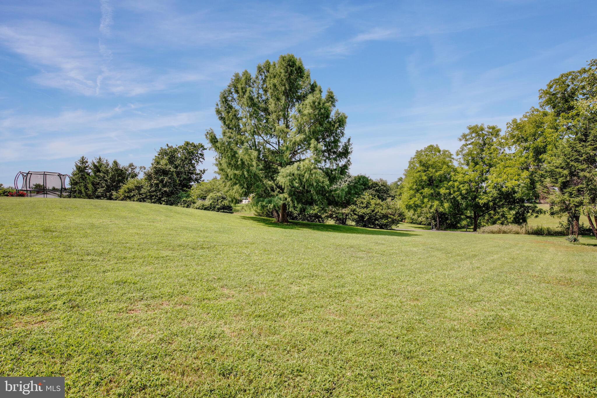 11130 Rixeyville Road Culpeper, VA 22701 - Photo 30 of 34 Gallery Image 30