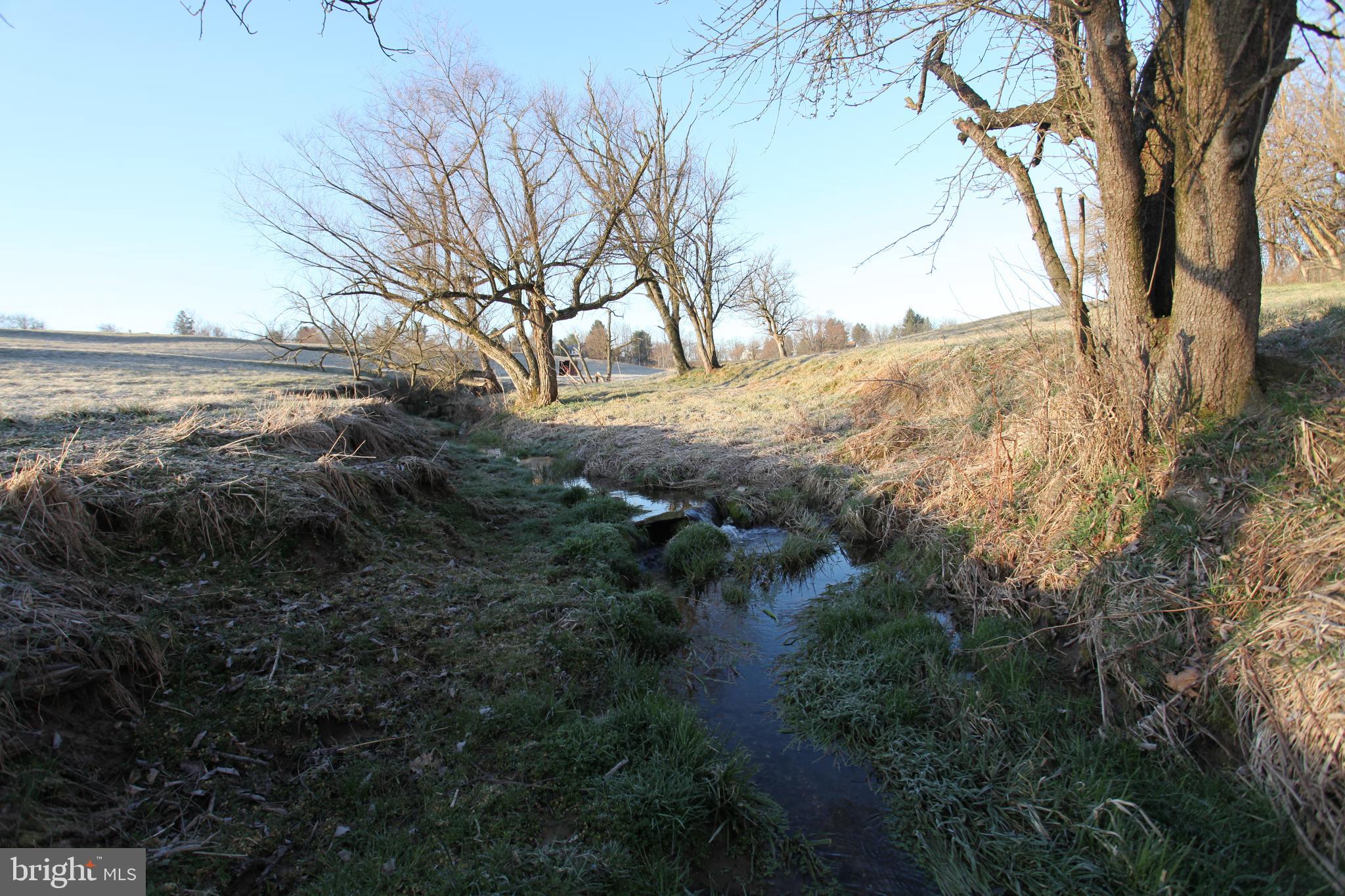 2233 Cloverleaf Road Elizabethtown, PA 17022 - Photo 19 of 21 Creek from spring house