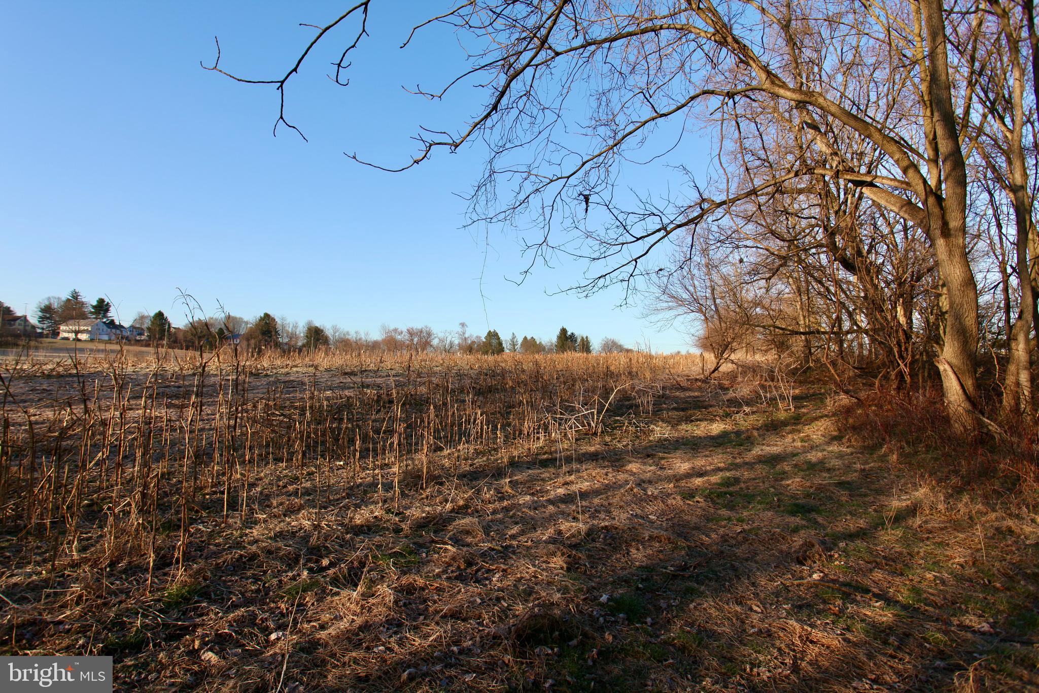 2233 Cloverleaf Road Elizabethtown, PA 17022 - Photo 20 of 21 Upper corn field