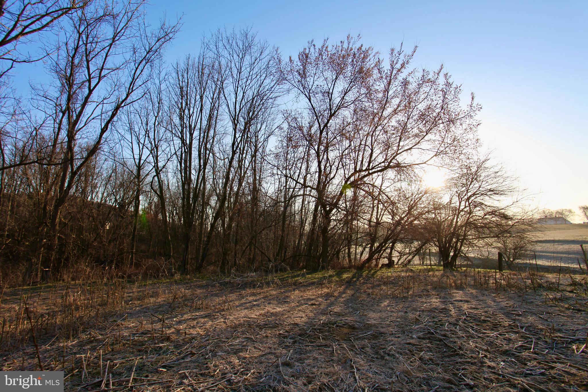 2233 Cloverleaf Road Elizabethtown, PA 17022 - Photo 21 of 21 Small patch of woods.