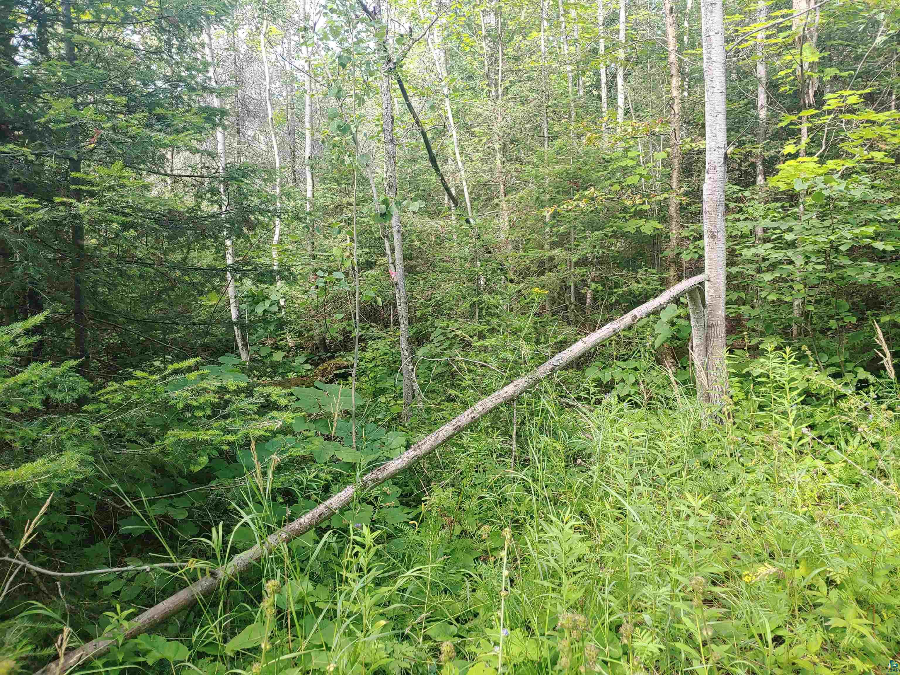 Two Gun Club Road Two Harbors, MN 55616 - Photo 14 of 14